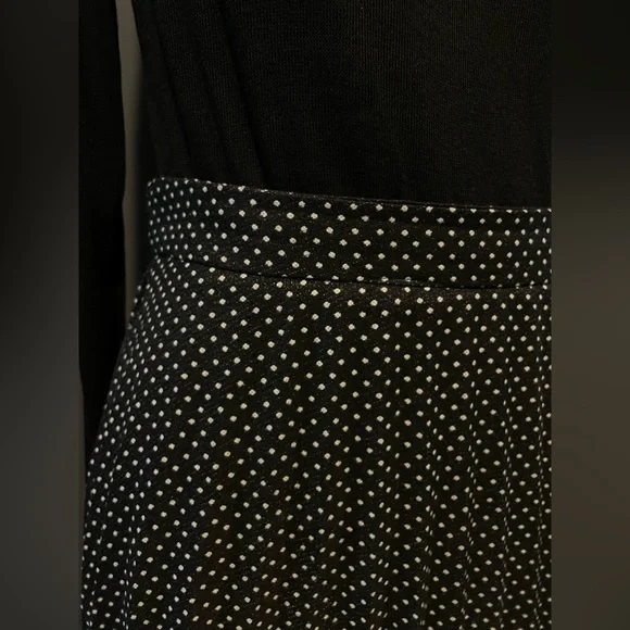 Zara polka dot pleated midi skirt - Picture 5 of 6